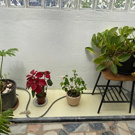 Foz Surfcamp Guest house